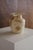 Stone Hand-Carved Egyptian Alabaster Vase For Sale - Image 7 of 13