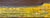 Victorian Clyde Shipbuilders Trade Sign with Annotated Steamship Hull Model For Sale - Image 9 of 17