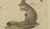 Early 19th Century Bertuch, Kangaroo, Wallaby & Hopping Mammals, 1795, Engraving For Sale - Image 5 of 10