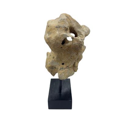 Indonesian Coral Stone On Teak Stand For Sale - Image 4 of 5