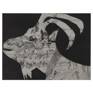 Pablo Picasso, Diurnes, The Goat with Gravois, Original Collotype For Sale