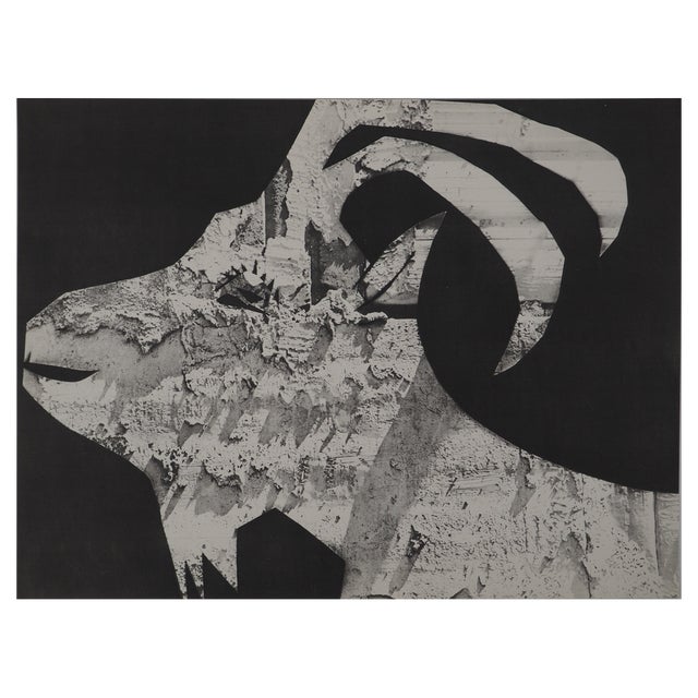 Pablo Picasso, Diurnes, The Goat with Gravois, Original Collotype For Sale