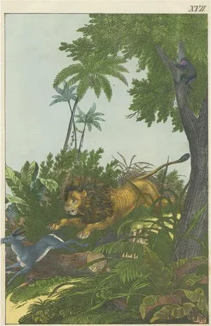 Hunting Lion, Lithograph on Paper