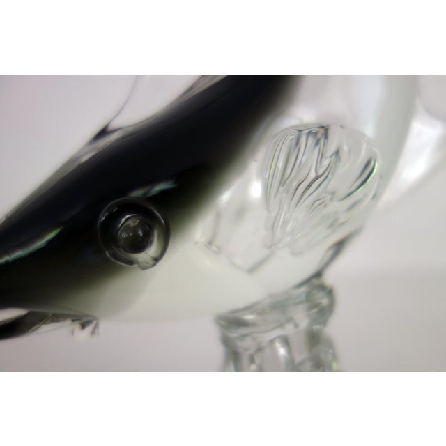 Large Murano Glass Fish by G. Campanella, Italy, 1960s, Set of 2 For Sale - Image 9 of 14