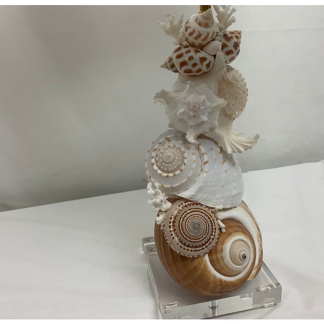 Stunning pair of decorative seashell table lamps featuring an exquisite arrangement of natural seashells in a...