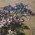 Hubert Bellis, Still Life with Vase of Cornflowers and Daisies, 19th Century, Oil on Canvas For Sale - Image 6 of 11