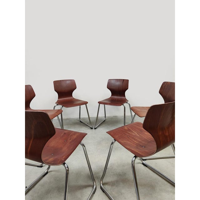 Vintage Pagholz Stacking Chairs from Flötotto, 1960s, Set of 6 For Sale - Image 4 of 6