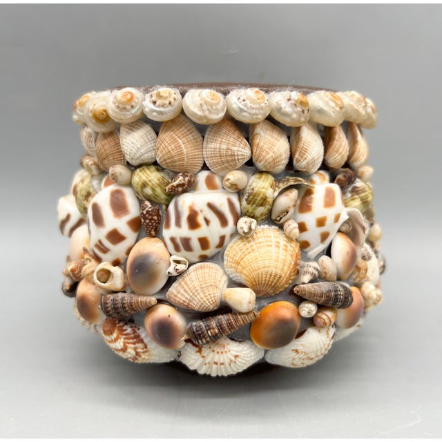 Vintage Hawaiian Seashell-Encrusted Terracotta Cachepot Planter For Sale In Houston - Image 6 of 10