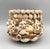 Vintage Hawaiian Seashell-Encrusted Terracotta Cachepot Planter For Sale In Houston - Image 6 of 10