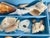 1970s Vintage Sea Shell Collection Coastal Marine Specimens in Blue Box For Sale - Image 5 of 6