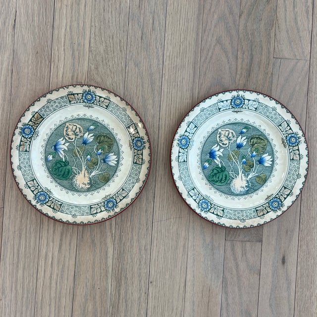 Antique Wedgwood Cyclamen Plates- A Pair