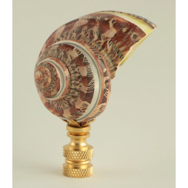 Upgrade your existing lighting or add a distinctive finishing touch to any table lamp with a designer lamp finial. Crafted...