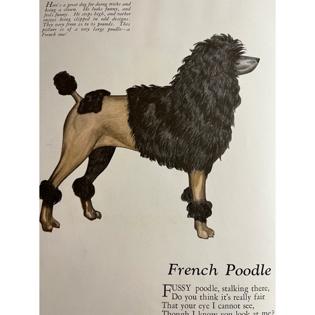 1927 Dogs by Julius King Book For Sale - Image 9 of 13