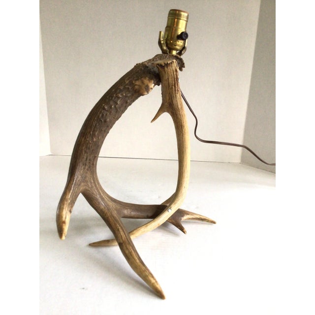 Boho Chic 1950s Antler Table Lamp For Sale - Image 3 of 8