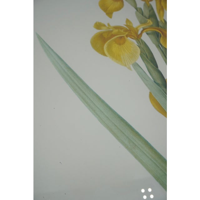 White Set of 3 Floral Engraving Prints For Sale - Image 8 of 12