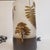 Table Lamps in Bent and Acid-Etched Glass by F.J., France, 1970s, Set of 2 For Sale - Image 10 of 18