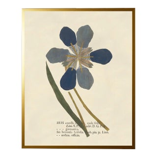 Blue Iris Print in Gold Shadowbox - 19" x 25" For Sale