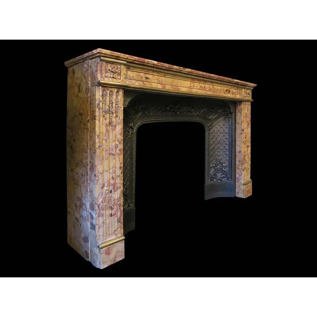 Louis XVI Fireplace Mantel in Breche Dalepp Marble For Sale - Image 5 of 8