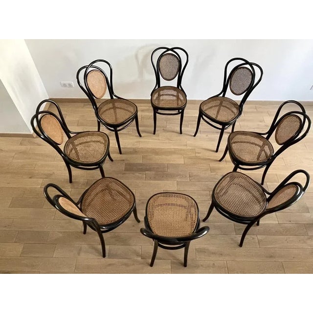 Viennese Chairs N.33 by J & J Kohn, 1900, Set of 8 For Sale - Image 16 of 18