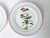 Contemporary Vintage Primula Italian Pottery "Chimapila Umbellata" Plates- Set of 2 For Sale - Image 3 of 4