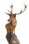Brown 19th Century Swiss Black Forest Style Wood Carved Stag Deer Brienz For Sale - Image 8 of 11