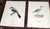 Antique 19th C. Large Folio Bird Lithographs - Set of 11 For Sale - Image 4 of 8