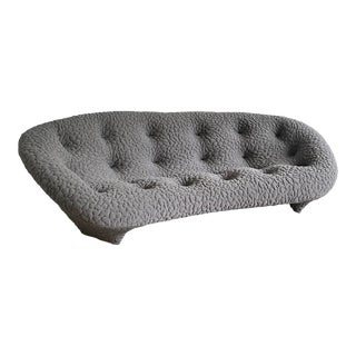 Ligne Roset Ploum Sofa For Sale