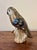 Vintage Tonalá Mexican Parrot Figurine, Coastal Modern Folk Art Ceramic For Sale In Miami - Image 6 of 8