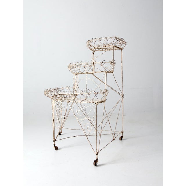 Victorian Wire Plant Stand For Sale - Image 4 of 12