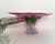 Glass 1960s Mid-Century Modern, Art Glass Pedestal Centerpiece Bowl, Leaf or Fish Shape in Pink, Green, Clear For Sale - Image 7 of 13