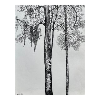 1994 Ron Yrabedra Spanish Moss and Trees Drawing For Sale
