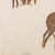 Espiga Pinto, Animalistic Composition, 1960s, Watercolor For Sale - Image 3 of 6