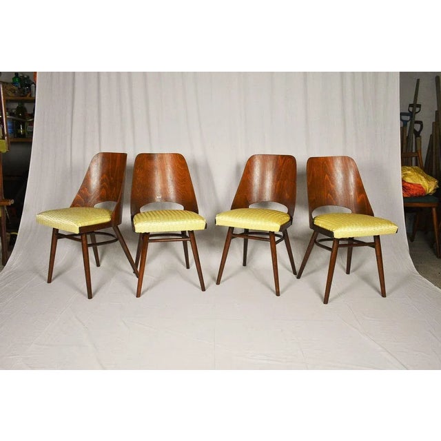 1950s Expo 58 Dining Chairs by Oswald Haerdtl for Ton, 1950s, Set of 4 For Sale - Image 5 of 18