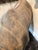 Full Body of a Greater Kudu/ African Antelope For Sale - Image 10 of 10