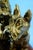 Carmelo Ganci, Scottish Terrier Dog Sculpture, Ceramic For Sale - Image 16 of 18