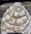 1960s Pair of Vintage Weathered Pinecone Garden Finials For Sale - Image 5 of 11