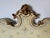 Vintage Karges Venetian French Provincial Style Carved Wood King Size Headboard For Sale - Image 13 of 14