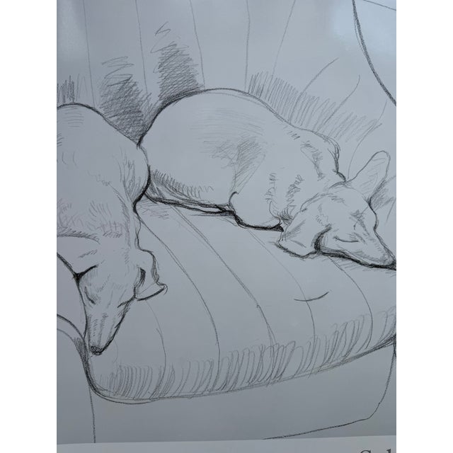Black and White Dogs Exhibition Poster by David Hockney, UK, 1994 For Sale - Image 9 of 12