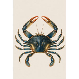 Blue Crab Illustration, Coastal Marine Wall Art Print, 24″ × 36″ For Sale
