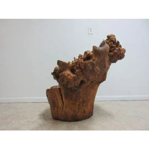 Vintage Mid Century Free Form Live Edge Root Lounge Chair For Sale - Image 9 of 11