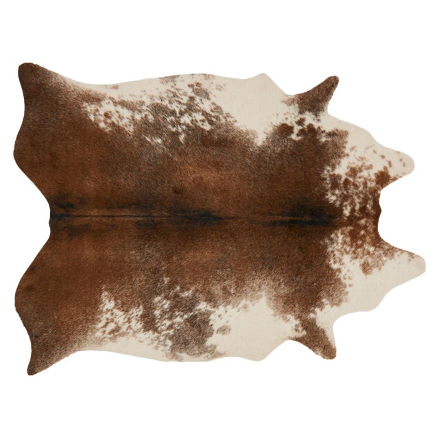 Loloi Rugs Grand Canyon Rug, Coffee / Ivory - 3'10"x5' For Sale