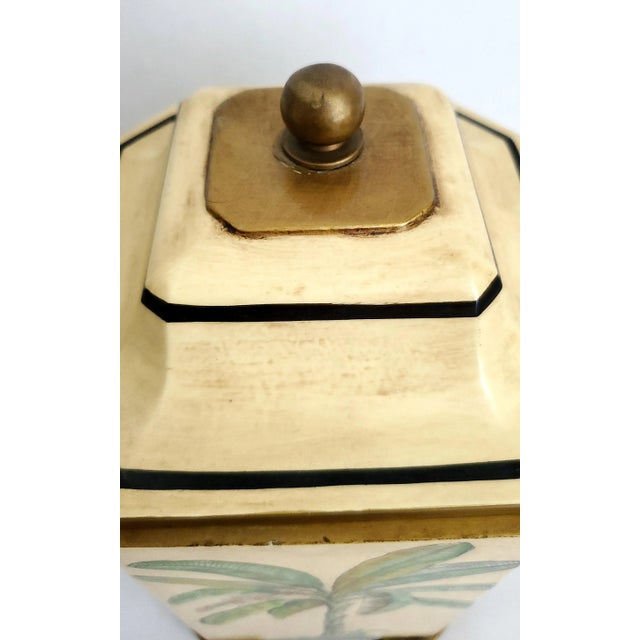 Box Palm Trees For Sale - Image 10 of 11