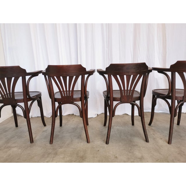 Mid-Century Bentwood Dining Chairs, 1970s, Set of 4 For Sale - Image 4 of 18