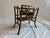 Antique 19th Century English Victorian Tortoise Bamboo Magazine Rack Stand For Sale - Image 9 of 15