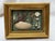 A single antique shadowbox framed curiosities from the ocean featuring a glass and gold wood frame and aqua velvet...