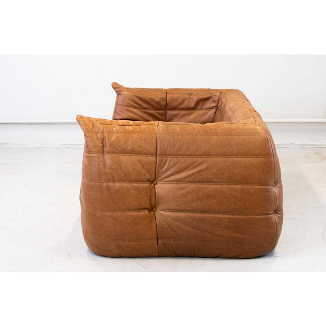 Ligne Roset Vintage Two-Seater Togo Sofa with Arms in Brown Pine Leather by Michel Ducaroy for Ligne Roset, 1970s For Sale - Image 4 of 18