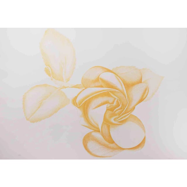 Giacomo Porzano, Yellow Rose, Original Etching, 1972 For Sale