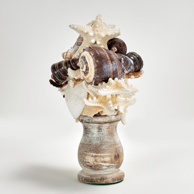 1960s Pair of Seashell Sculptures on Wood Bases For Sale - Image 5 of 13