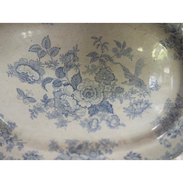 Mid 19th Century Mid 19th Century Asiatic Pheasant Platter For Sale - Image 5 of 14