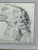 Late 18th Century Important 18th Century, American School Bald Eagle Drawing Attr William Bartram For Sale - Image 5 of 11